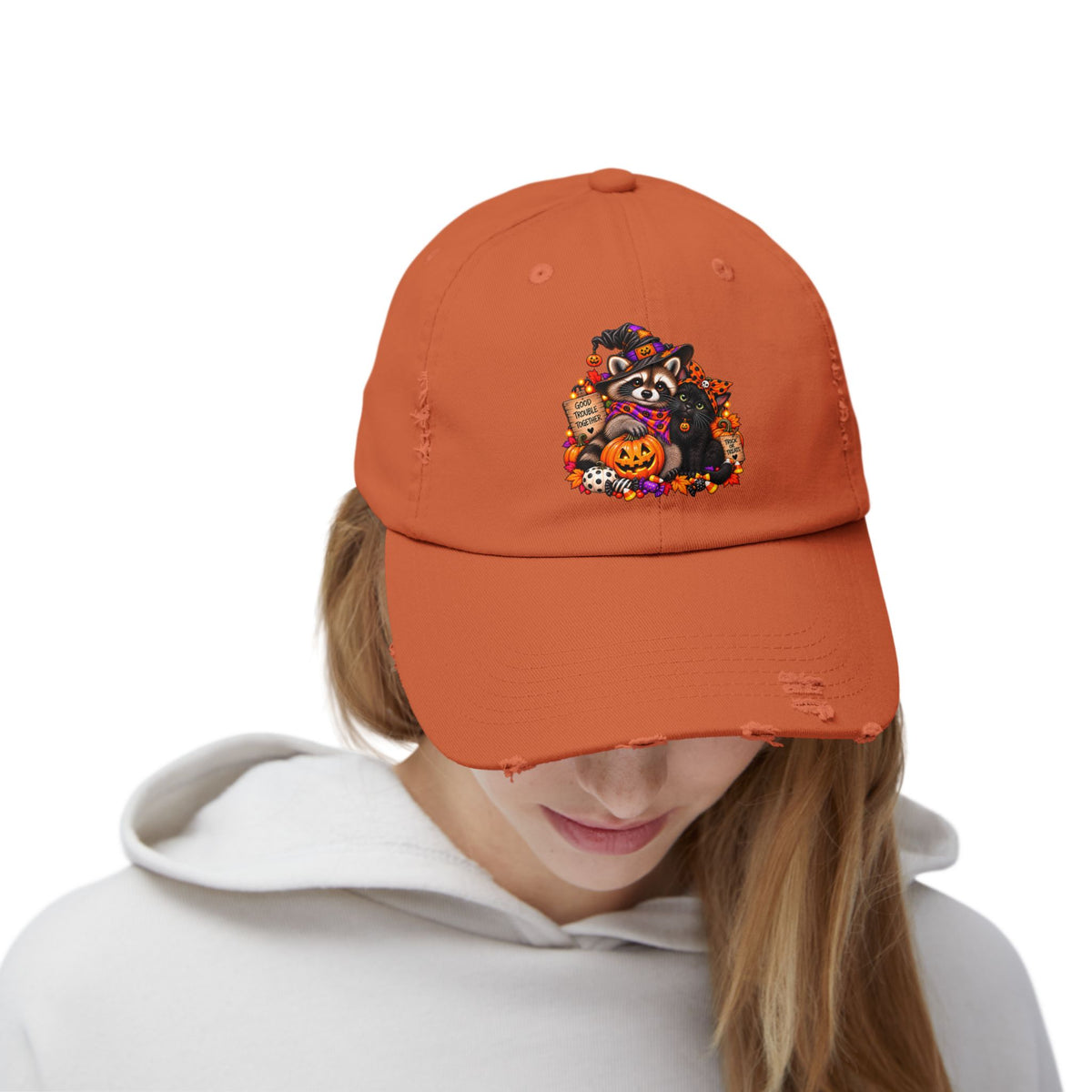 Halloween Raccoon and Black Cat Bestie Distressed Baseball Hat