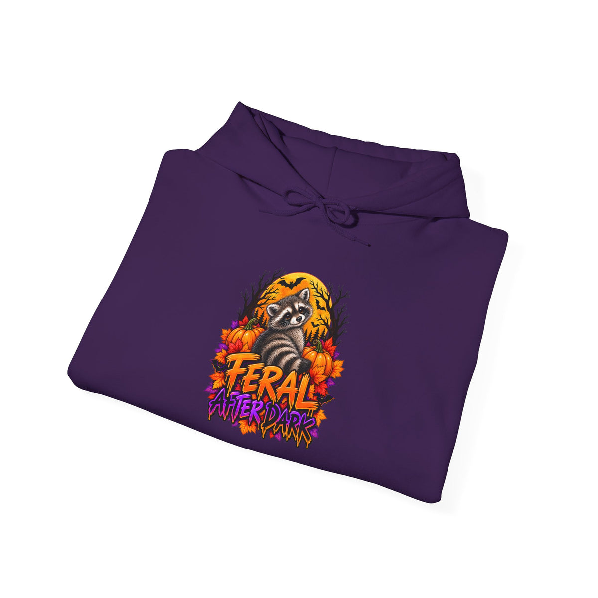 After Dark Raccoon Hooded Sweatshirt