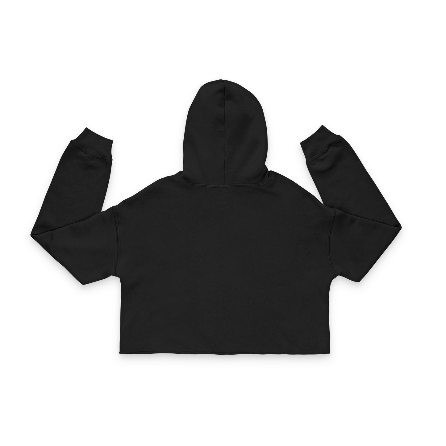 Sitting Rainbow Raccoon Cropped Hoodie