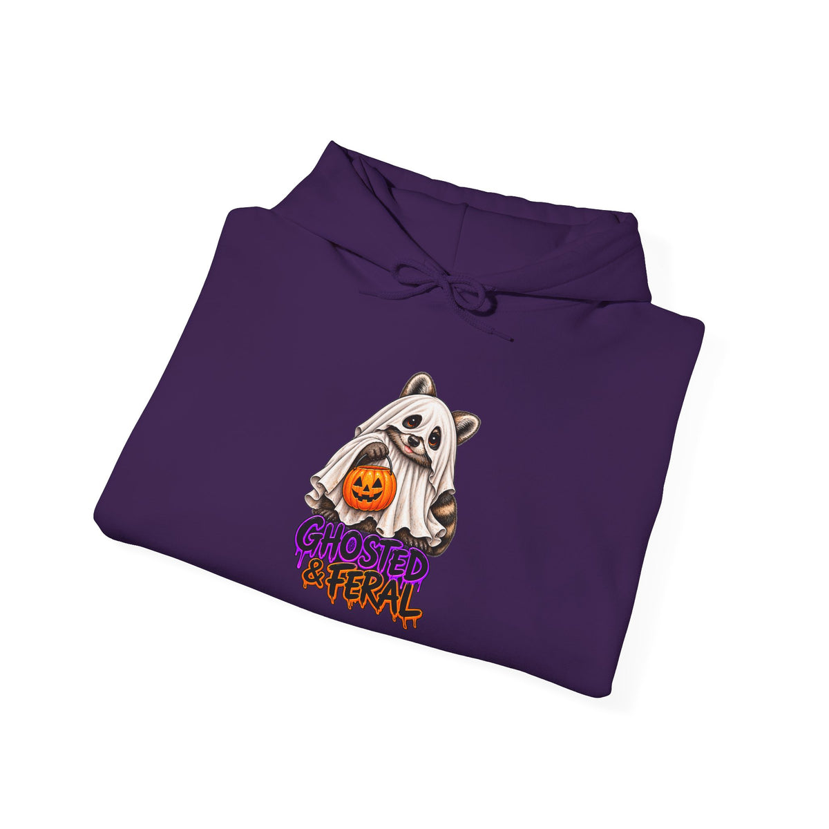 Ghosted Raccoon Hooded Sweatshirt