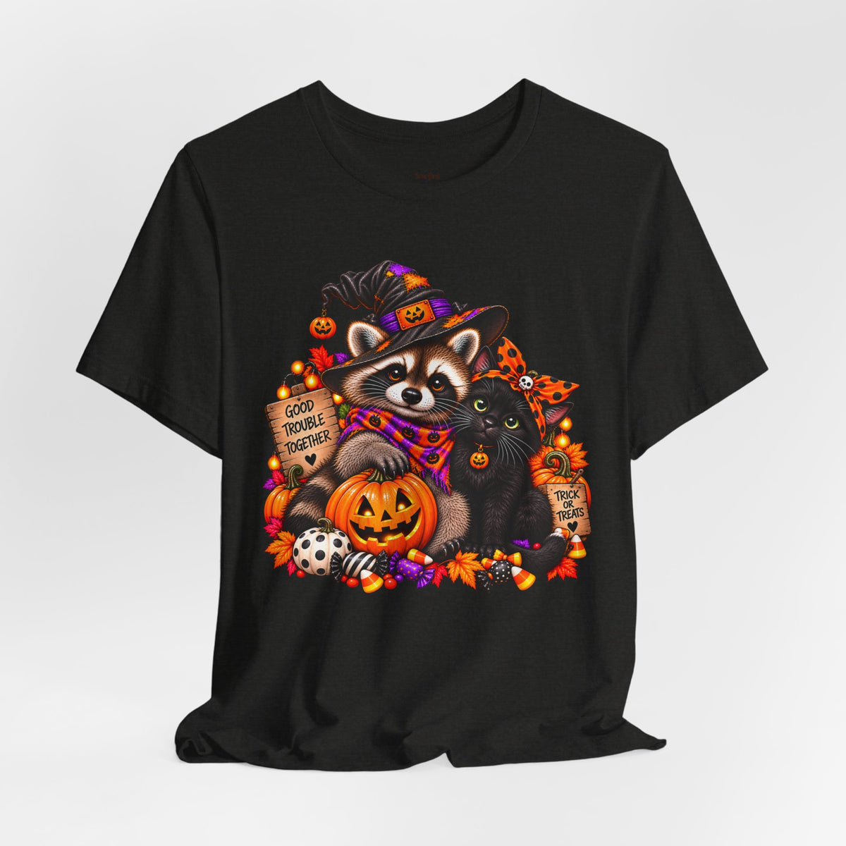 Halloween Raccoon and Black Cat T-Shirt
