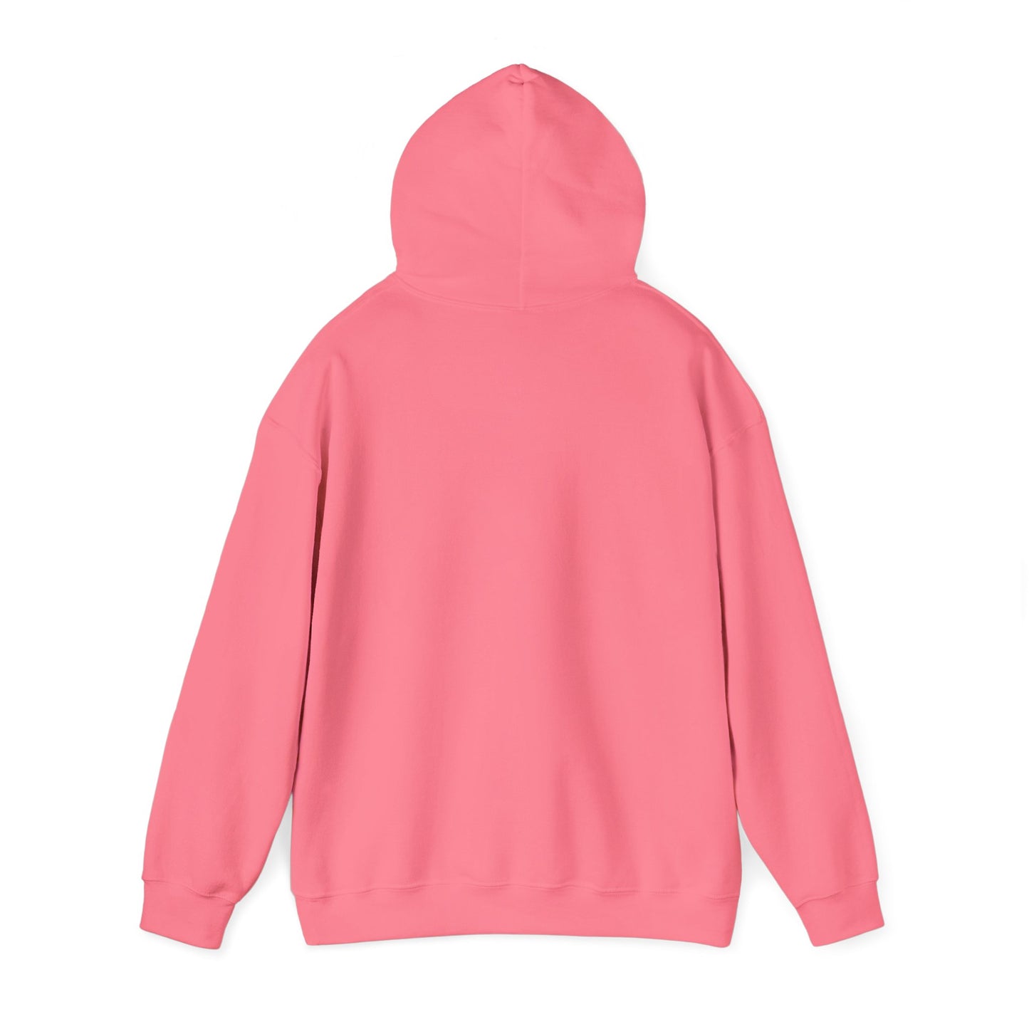 Dancing Raccoon "Maniac" Hooded Sweatshirt