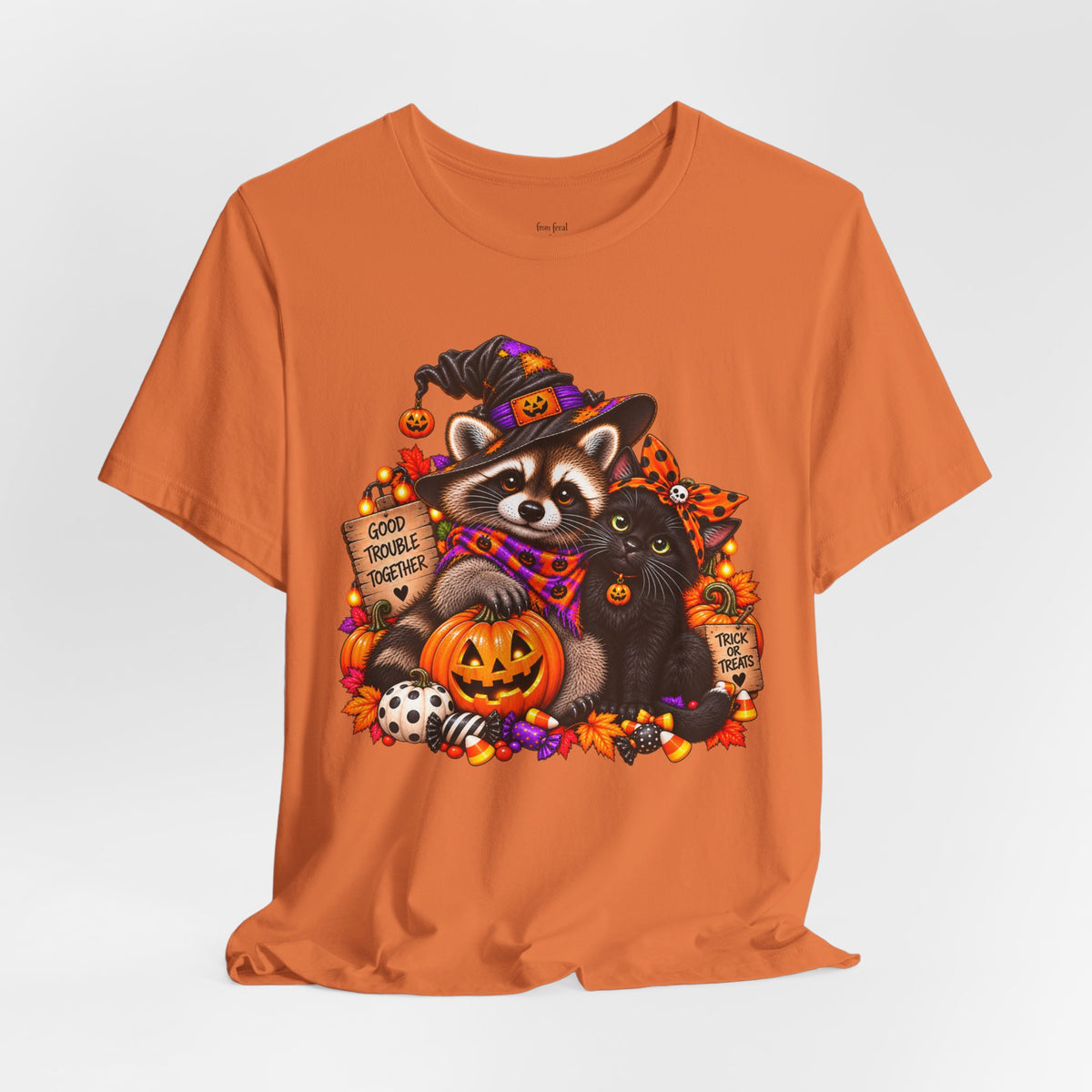 Halloween Raccoon and Black Cat T-Shirt