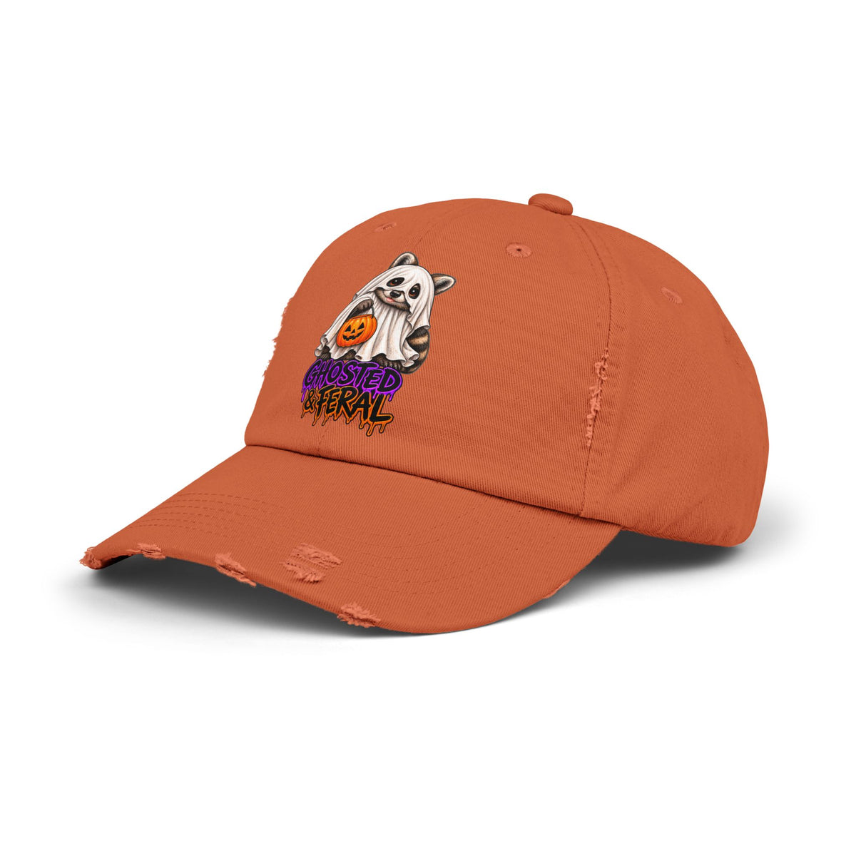 Ghosted Raccoon Distressed Baseball Hat