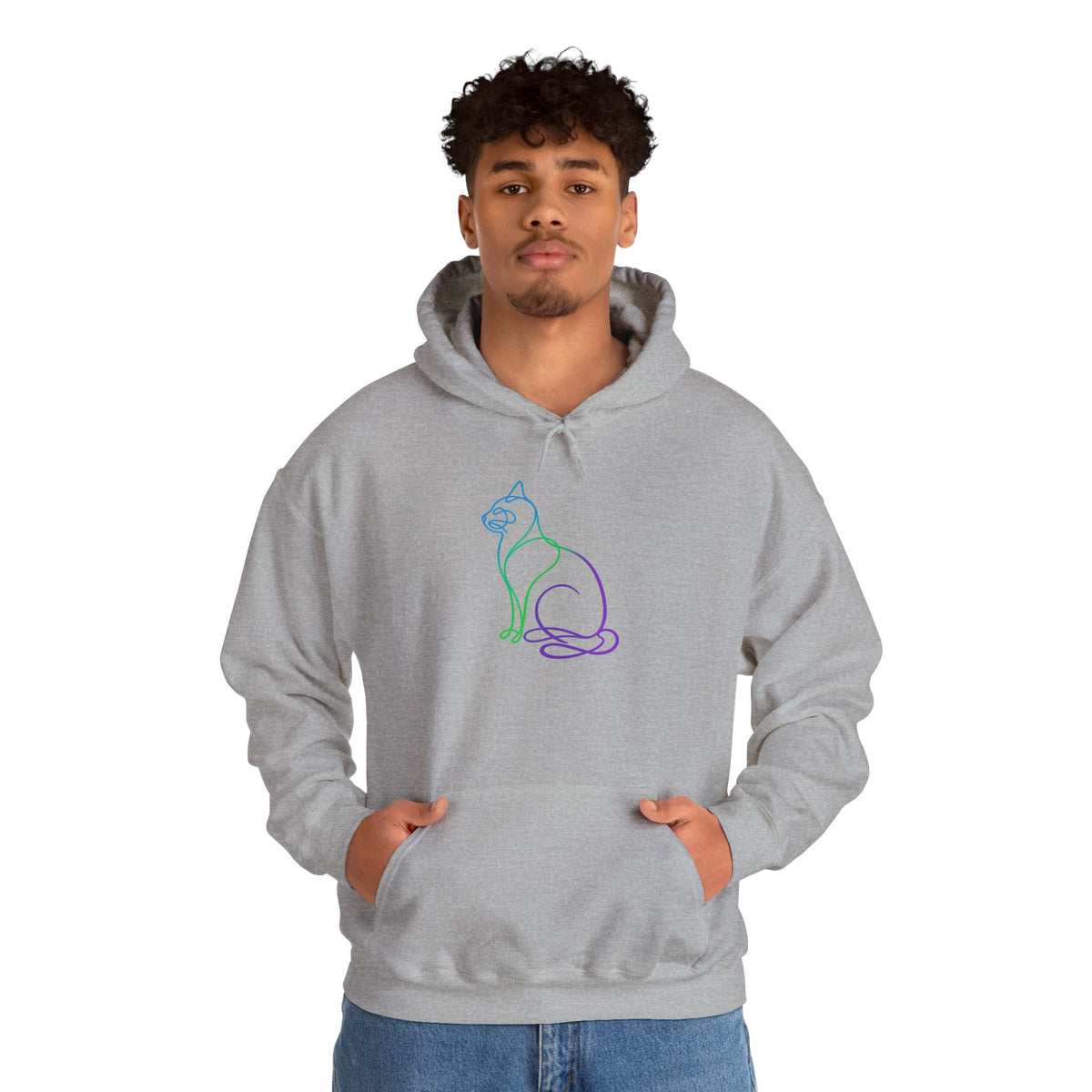 Northern Lights Cat Hooded Sweatshirt
