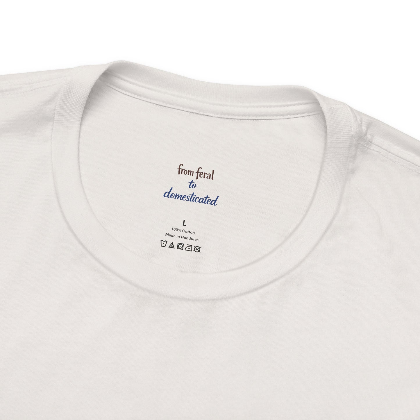 You're Awesome (And I'm Sarcastic) T-Shirt