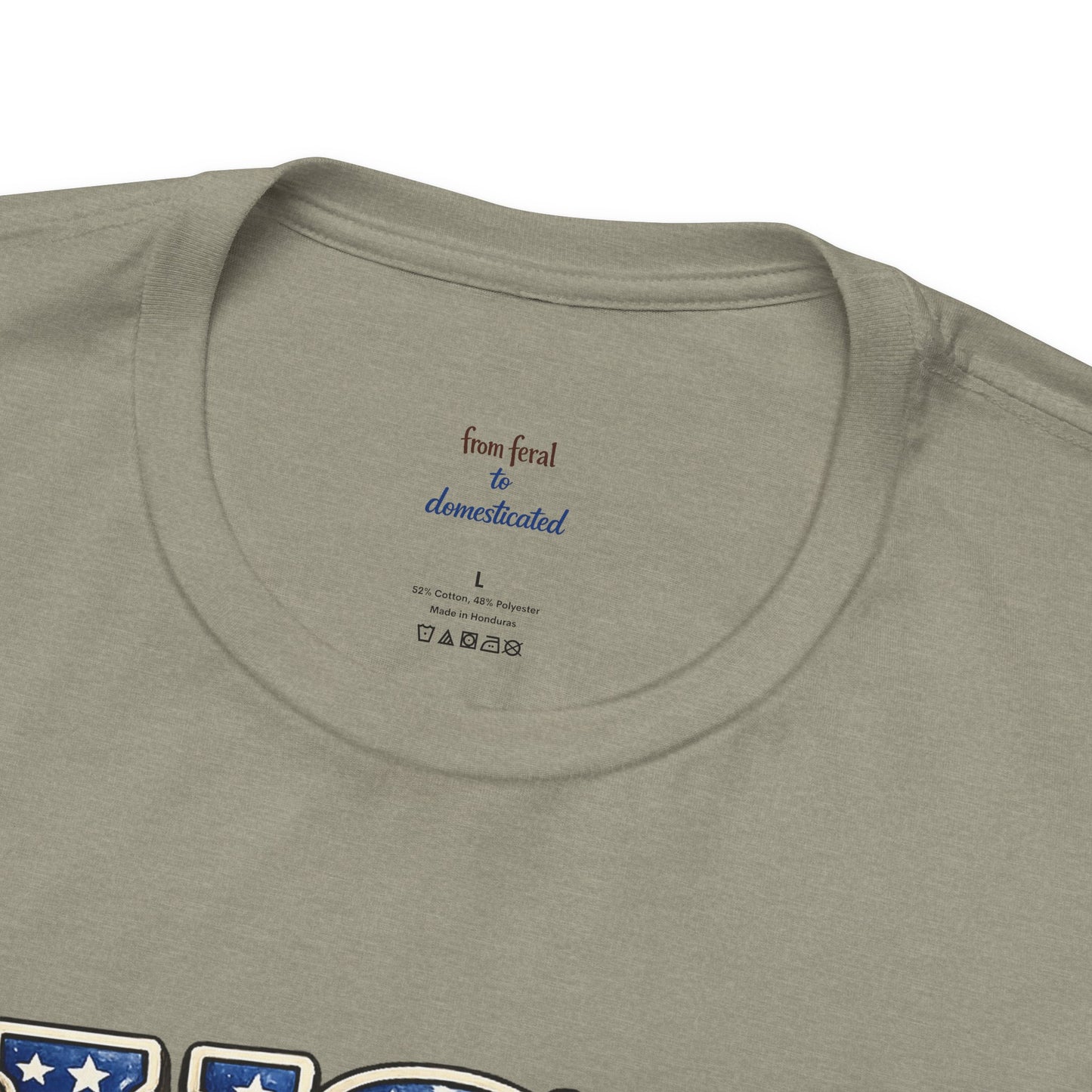 Patriot Raccoon 250th Anniversary T-Shirt — 4th of July Fireworks Flag Tee