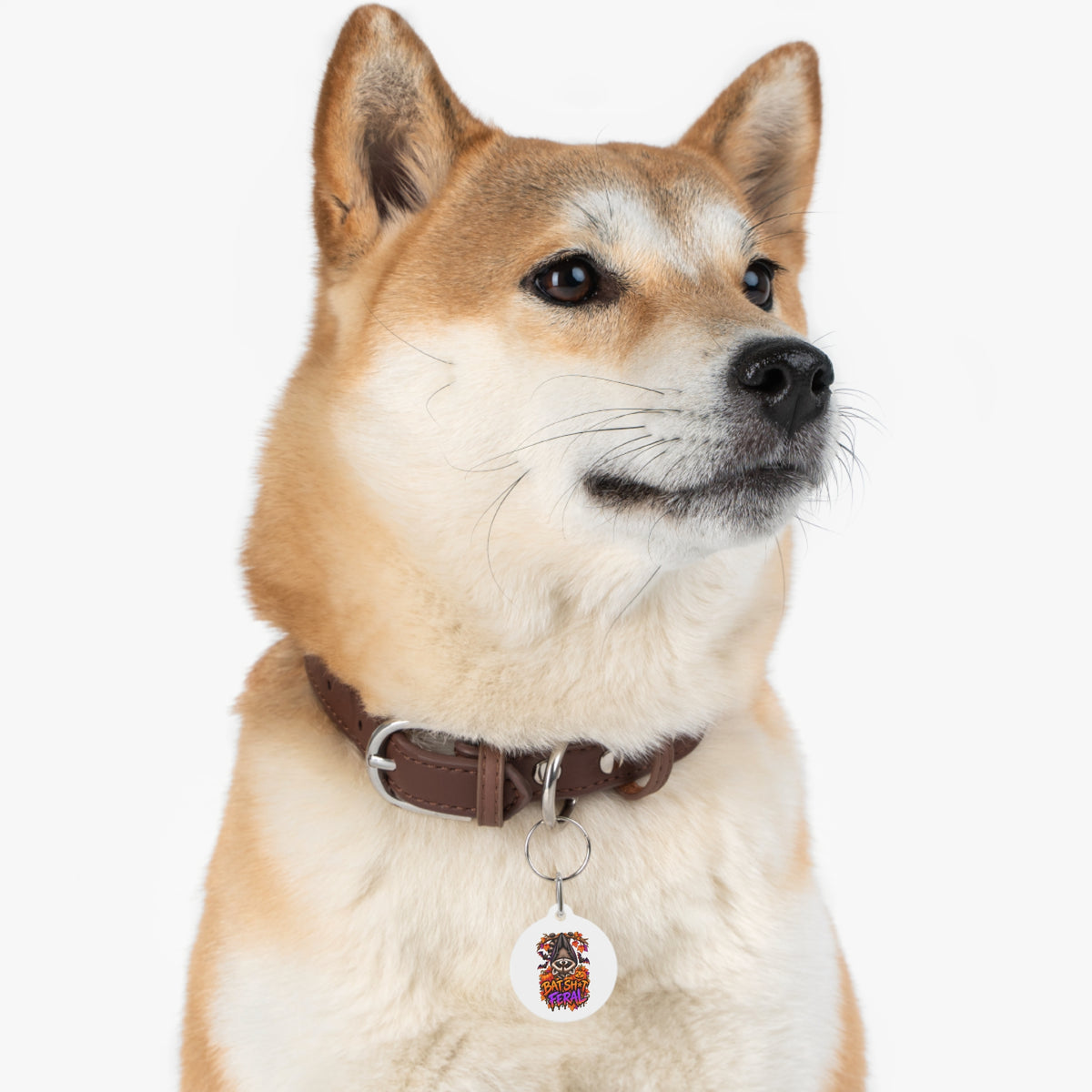 Halloween Raccoon Pet Tag