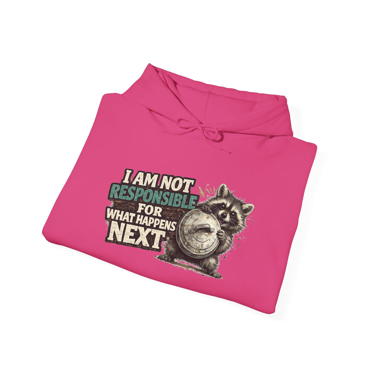 Not Responsible Raccoon Hooded Sweatshirt