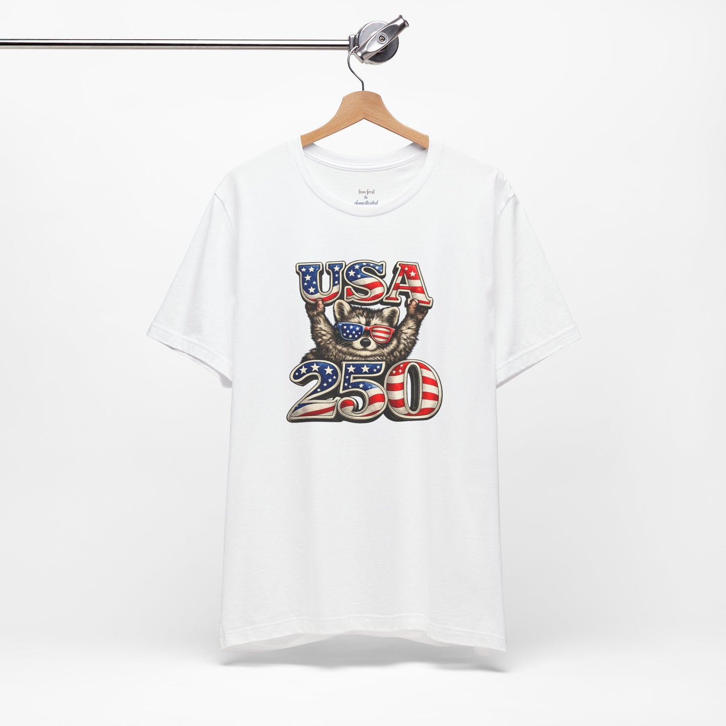 Patriot Raccoon 250th Anniversary T-Shirt — 4th of July Fireworks Flag Tee