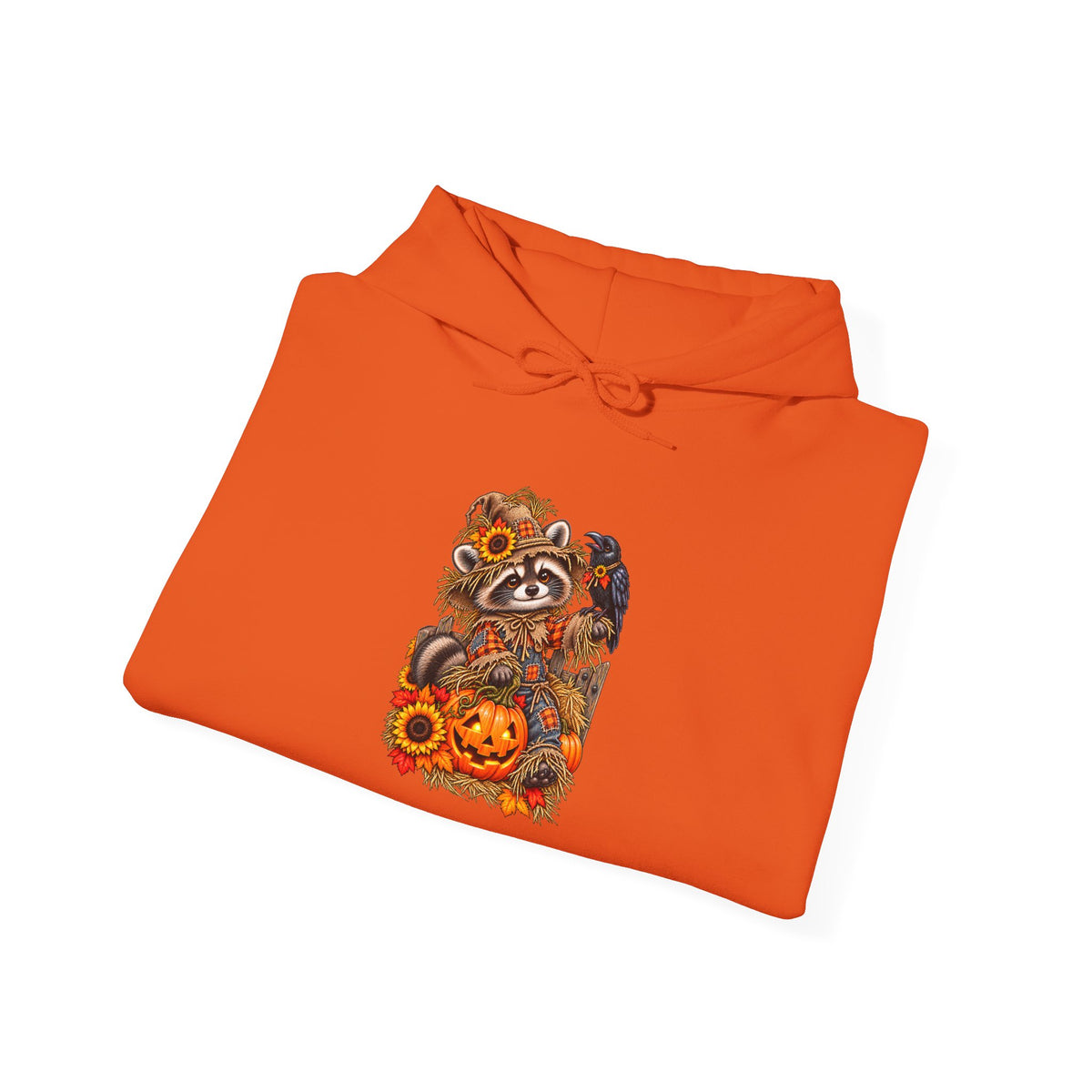 Scarecrow Raccoon Hooded Sweatshirt