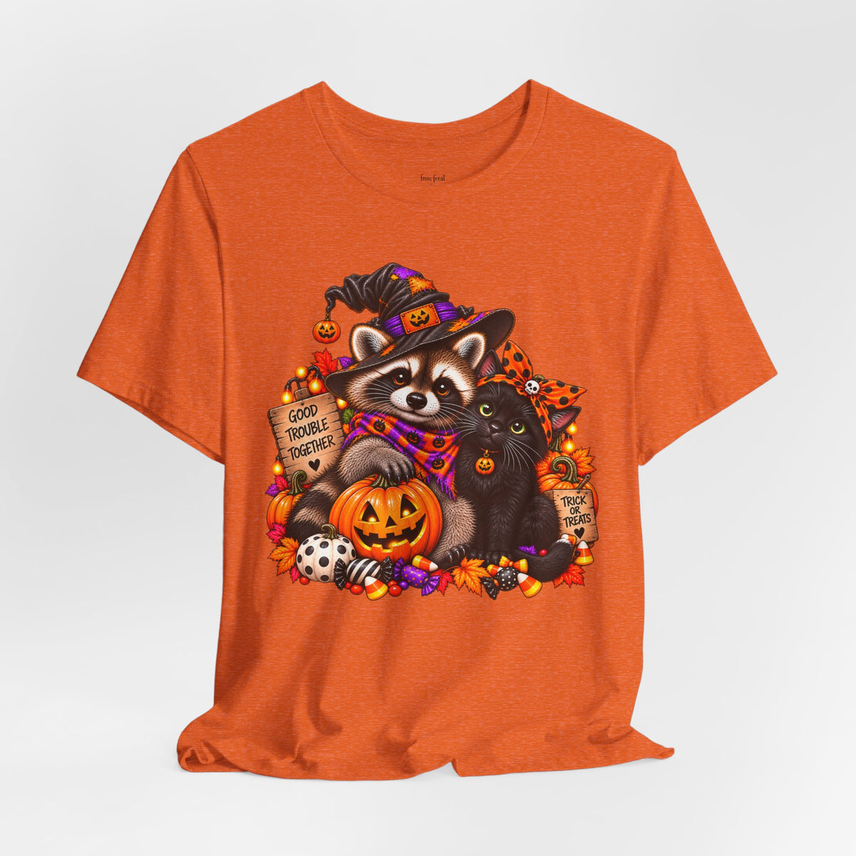 Halloween Raccoon and Black Cat T-Shirt