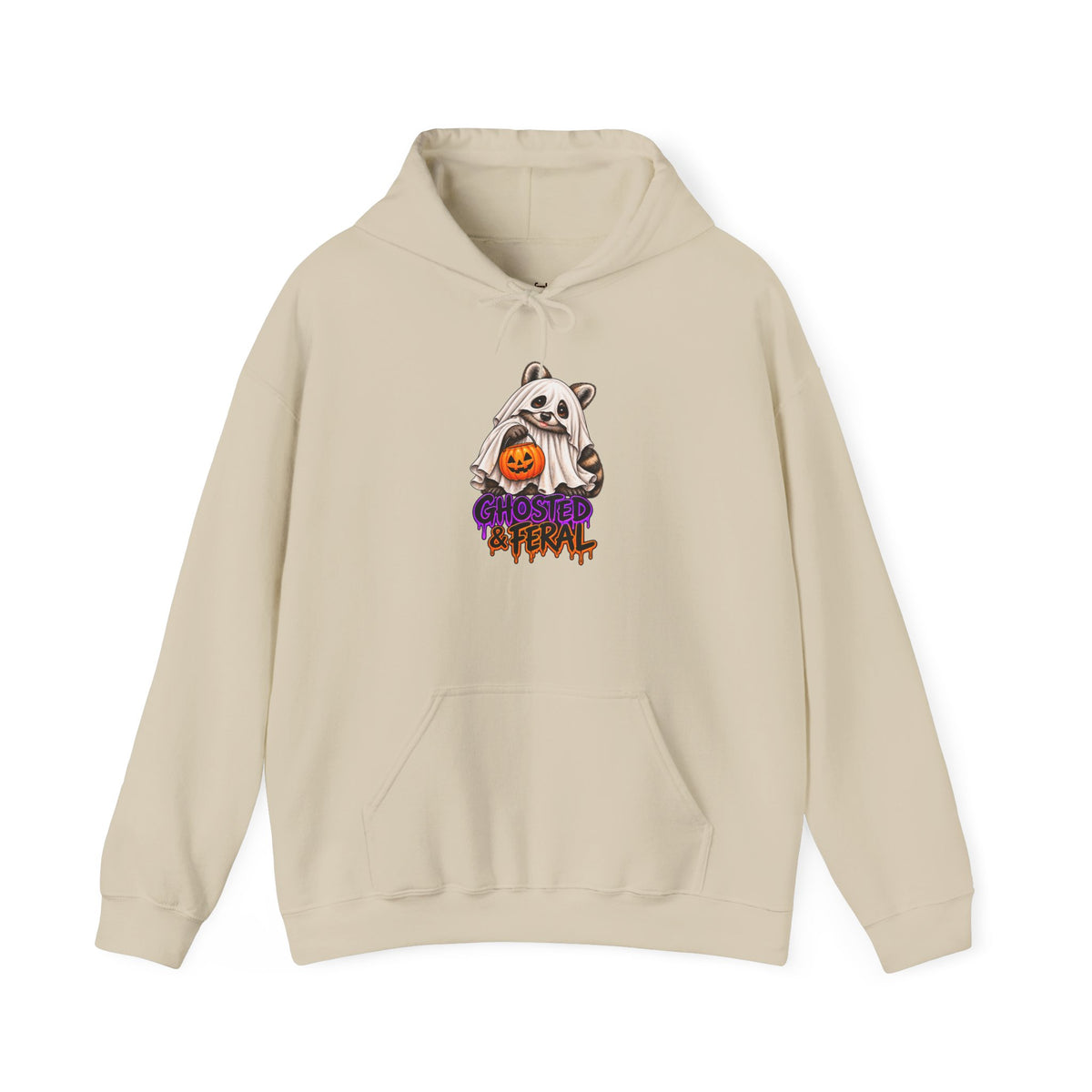 Ghosted Raccoon Hooded Sweatshirt