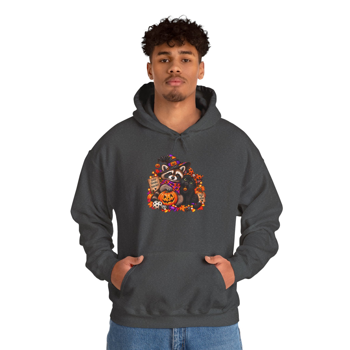 Halloween Raccoon and Black Cat Bestie Hooded Sweatshirt