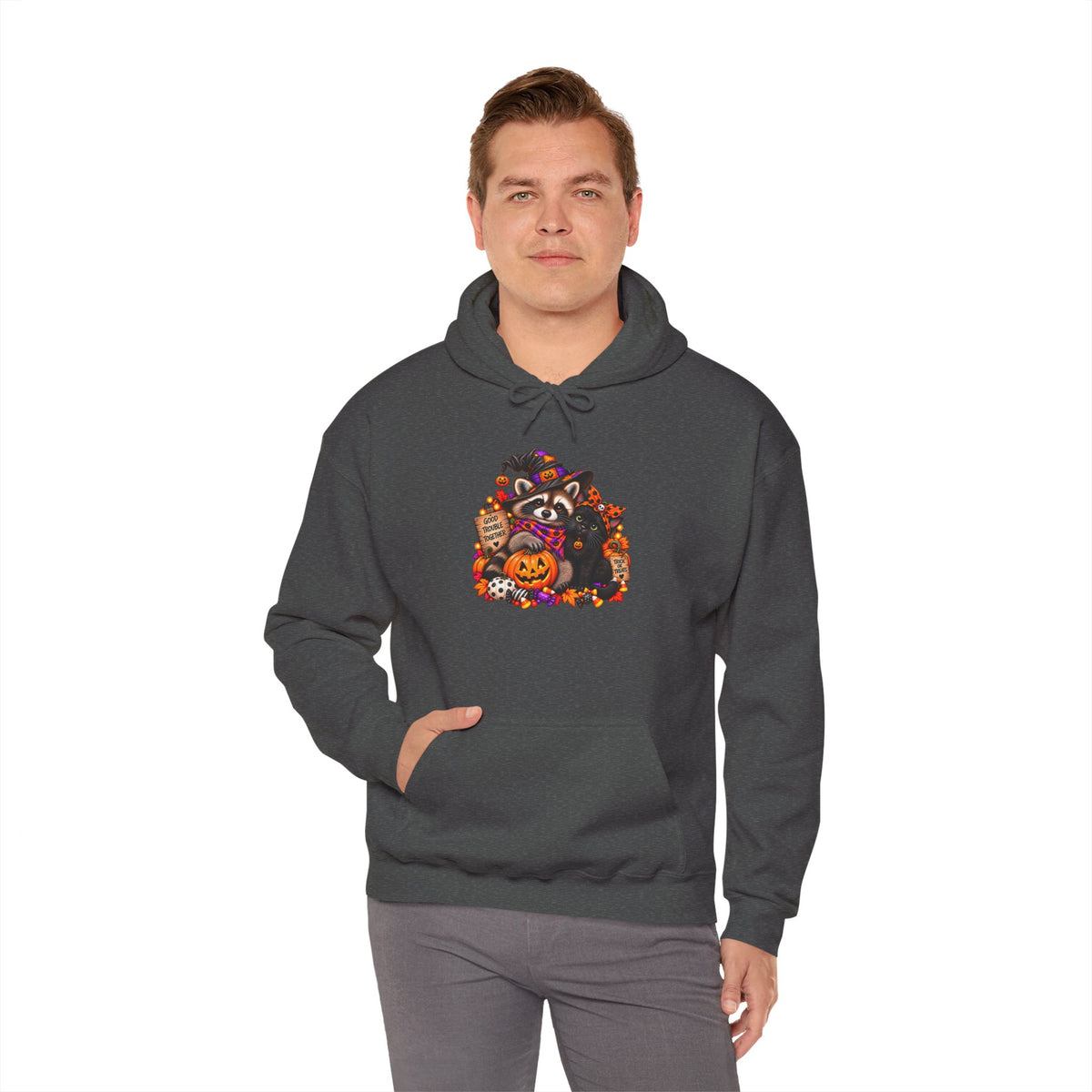 Halloween Raccoon and Black Cat Bestie Hooded Sweatshirt