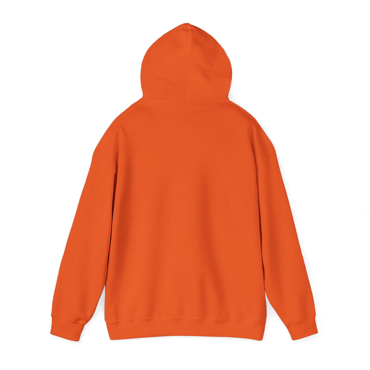 Halloween Raccoon Hooded Sweatshirt