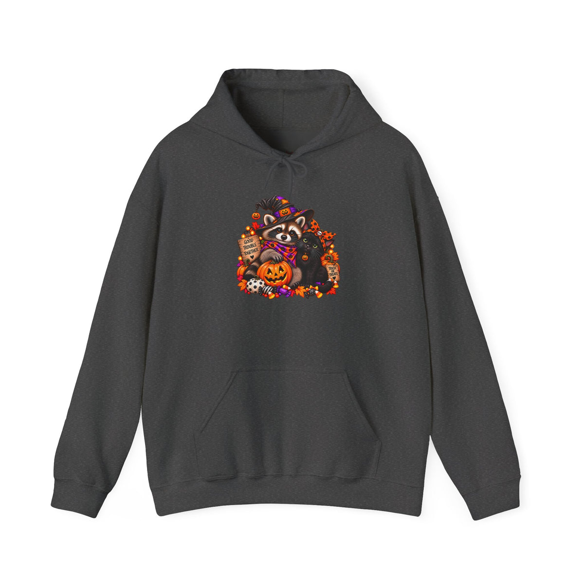 Halloween Raccoon and Black Cat Bestie Hooded Sweatshirt