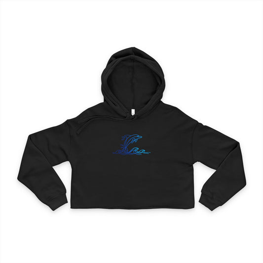 Colorful Dolphin Cropped Hoodie