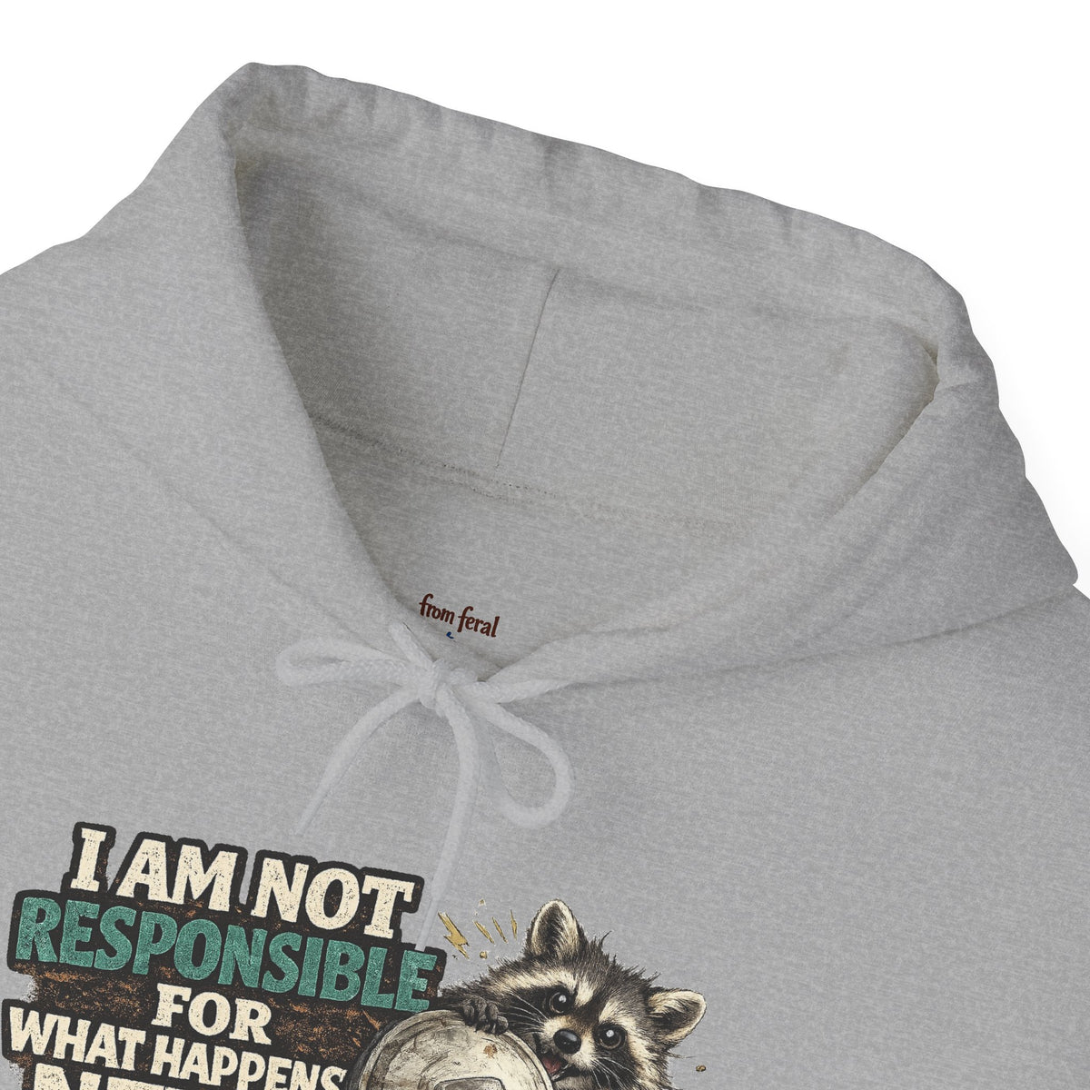 Not Responsible Raccoon Hooded Sweatshirt