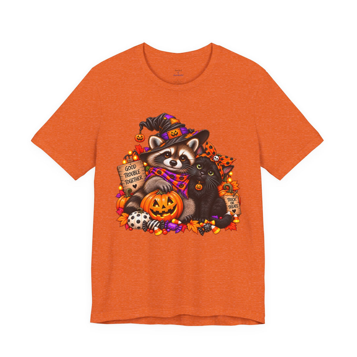 Halloween Raccoon and Black Cat T-Shirt