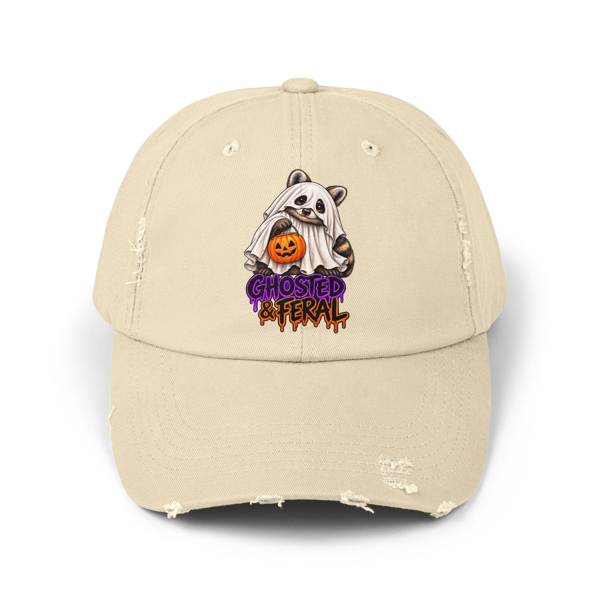 Ghosted Raccoon Distressed Baseball Hat