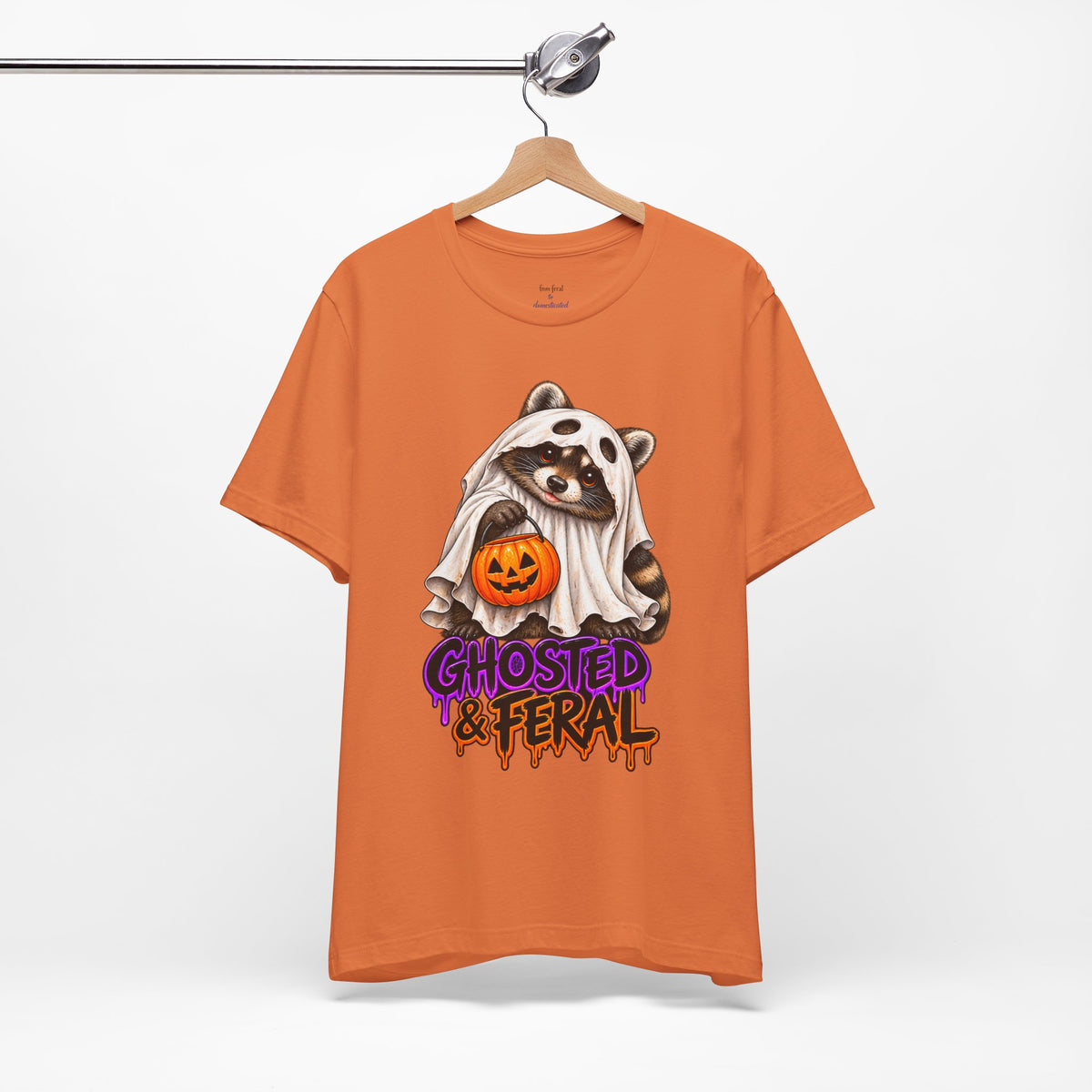 Ghosted Raccoon T-Shirt