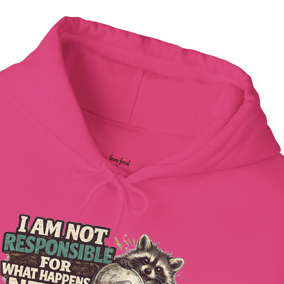 Not Responsible Raccoon Hooded Sweatshirt