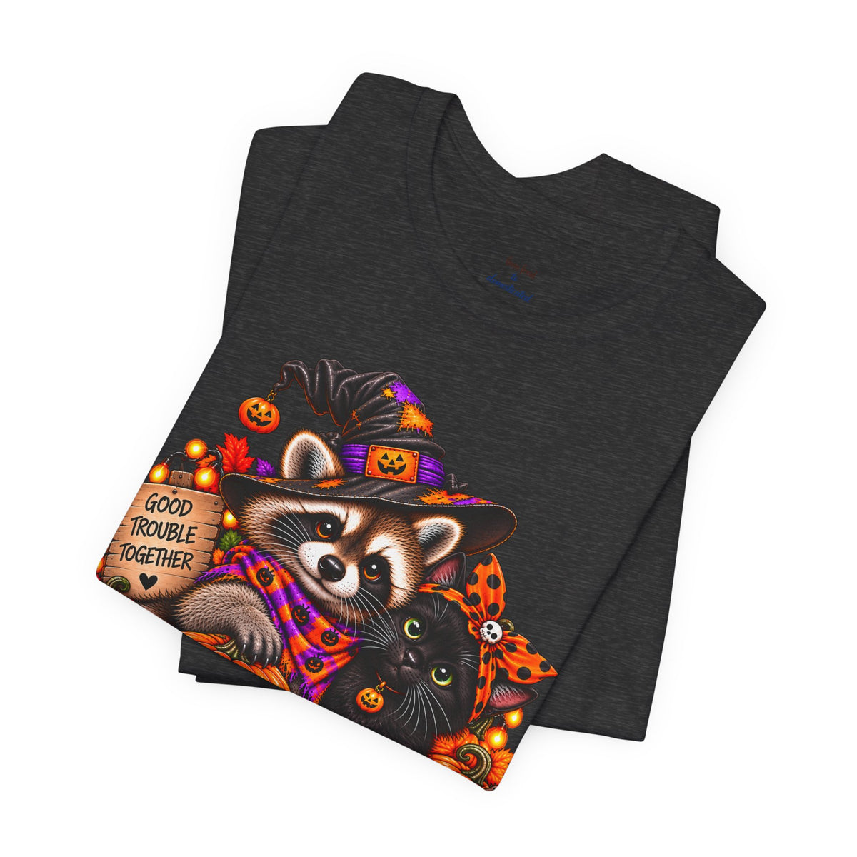Halloween Raccoon and Black Cat T-Shirt