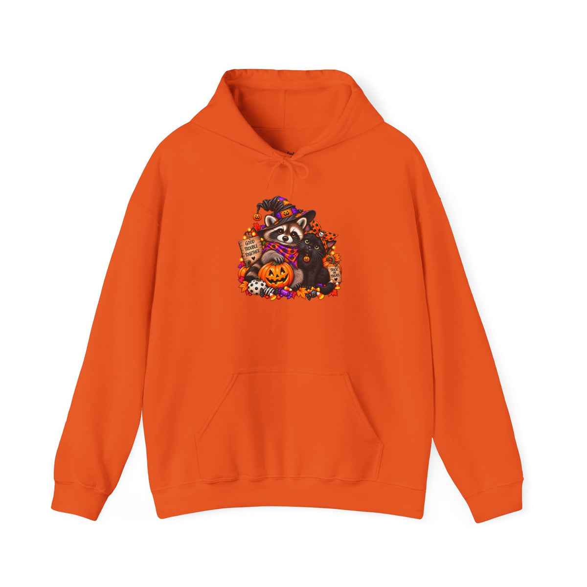 Halloween Raccoon and Black Cat Bestie Hooded Sweatshirt