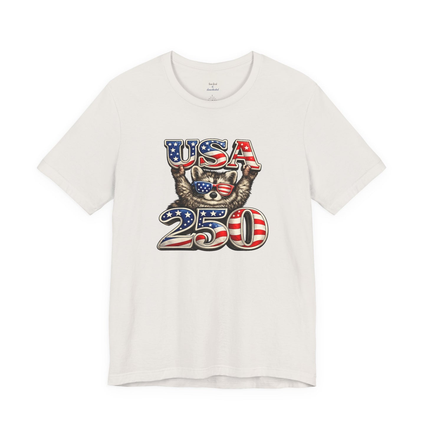 Patriot Raccoon 250th Anniversary T-Shirt — 4th of July Fireworks Flag Tee