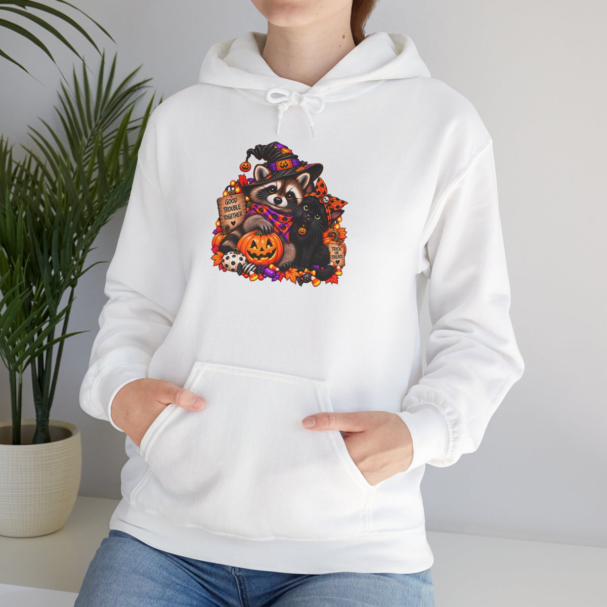 Halloween Raccoon and Black Cat Bestie Hooded Sweatshirt