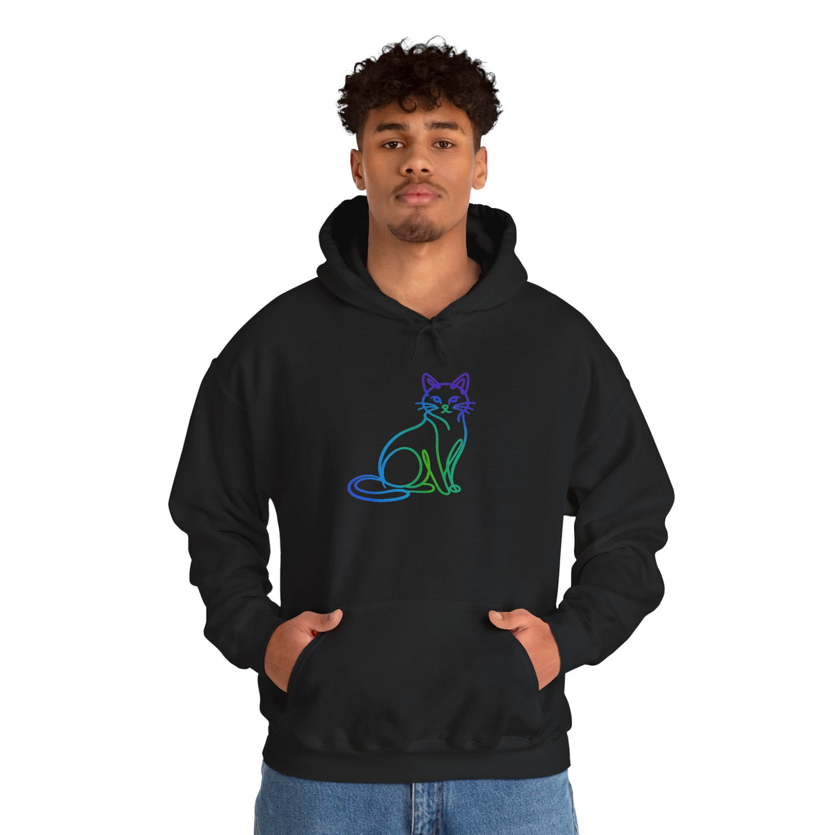 Northern Lights Cat Hooded Sweatshirt
