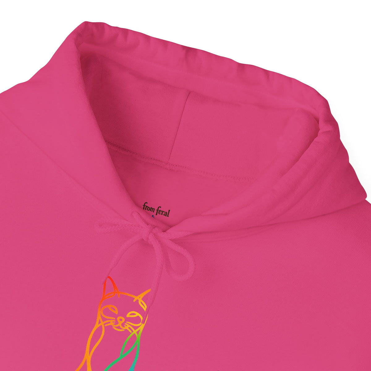 Rainbow Cat Hooded Sweatshirt