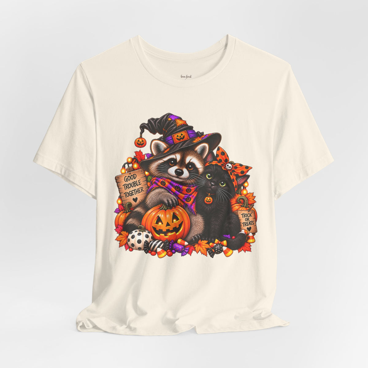 Halloween Raccoon and Black Cat T-Shirt