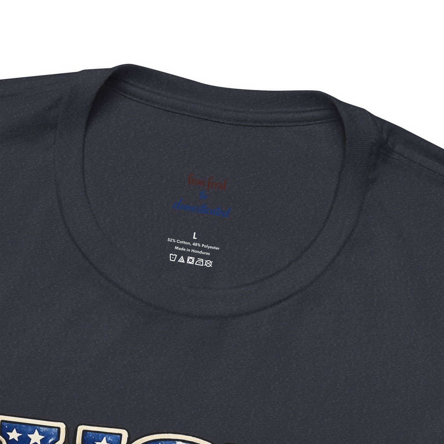 Patriot Raccoon 250th Anniversary T-Shirt — 4th of July Fireworks Flag Tee