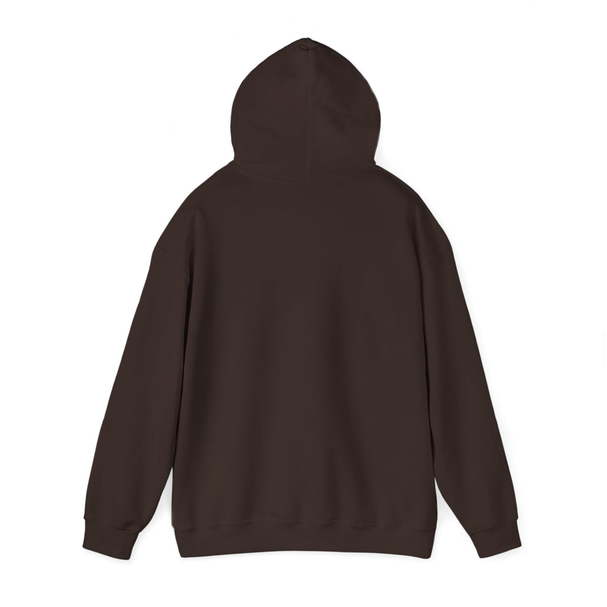 Northern Lights Cat Hooded Sweatshirt
