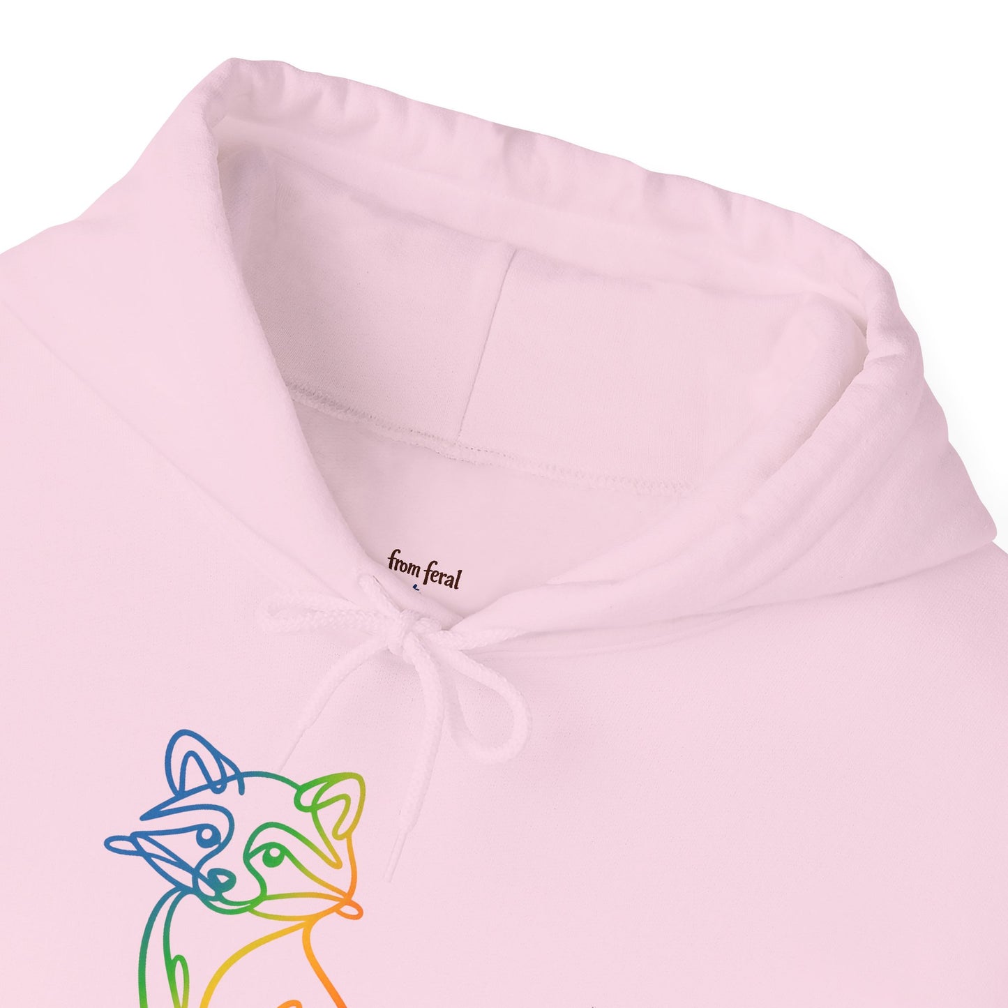 Rainbow Line Art Raccoon Hoodie