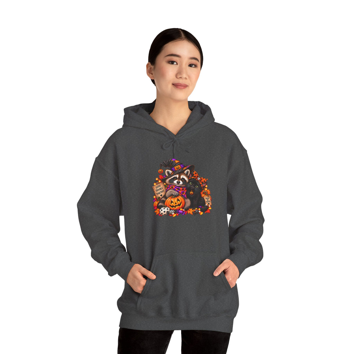 Halloween Raccoon and Black Cat Bestie Hooded Sweatshirt