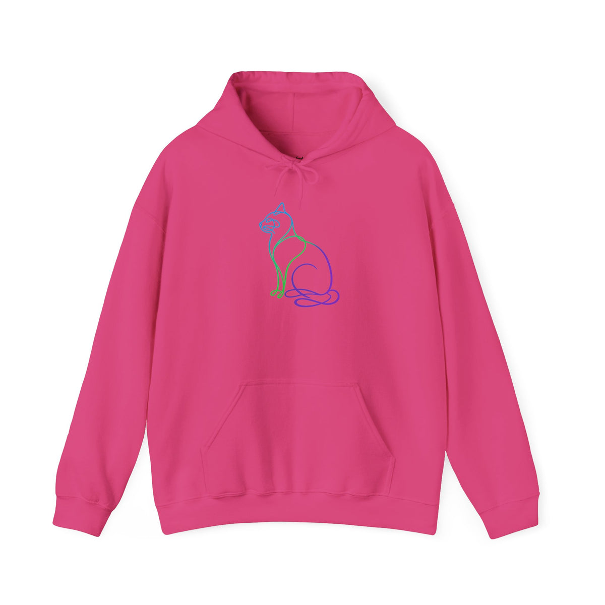 Northern Lights Cat Hooded Sweatshirt