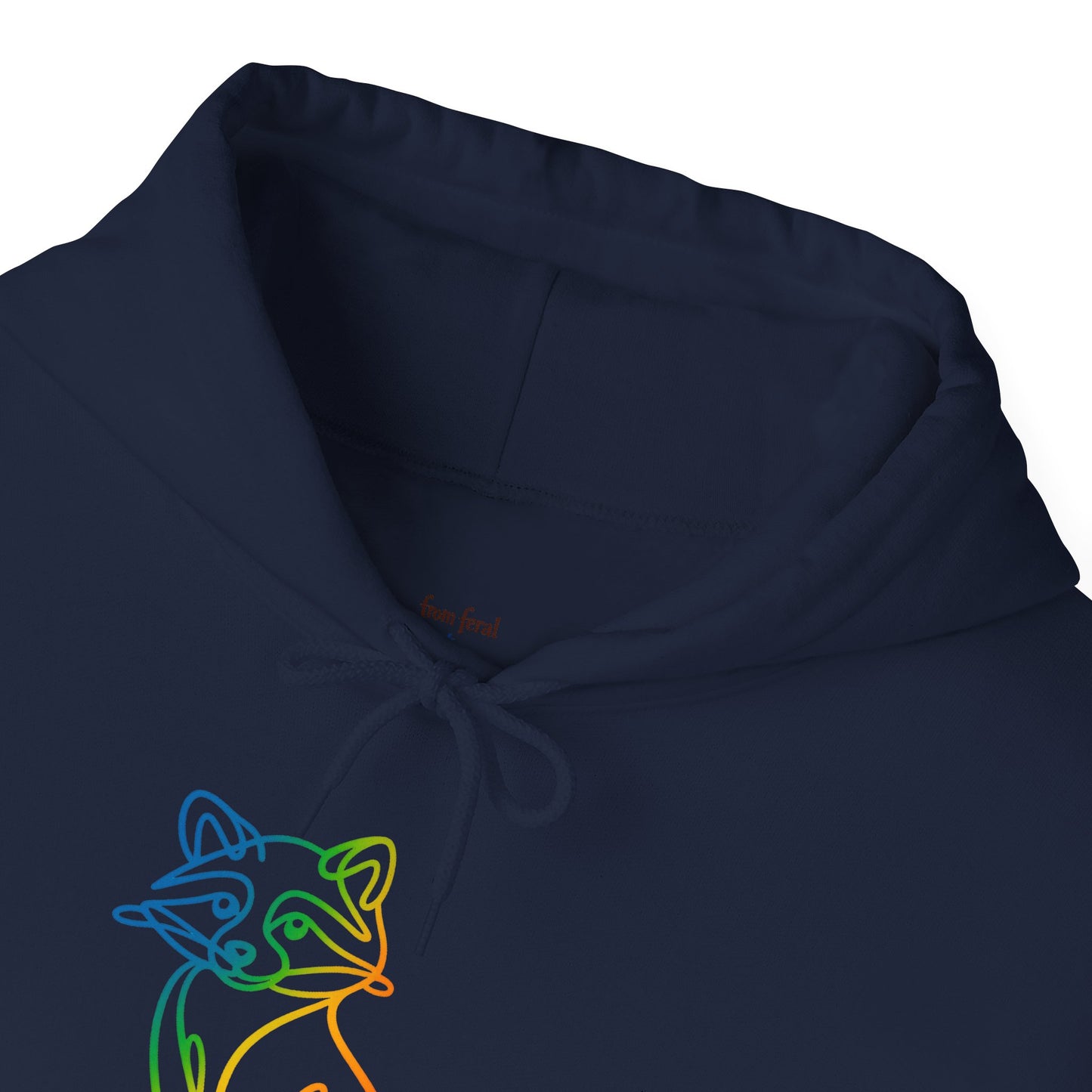Rainbow Line Art Raccoon Hoodie