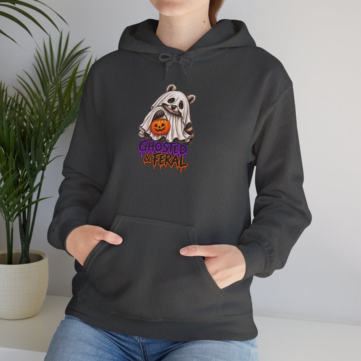 Ghosted Raccoon Hooded Sweatshirt