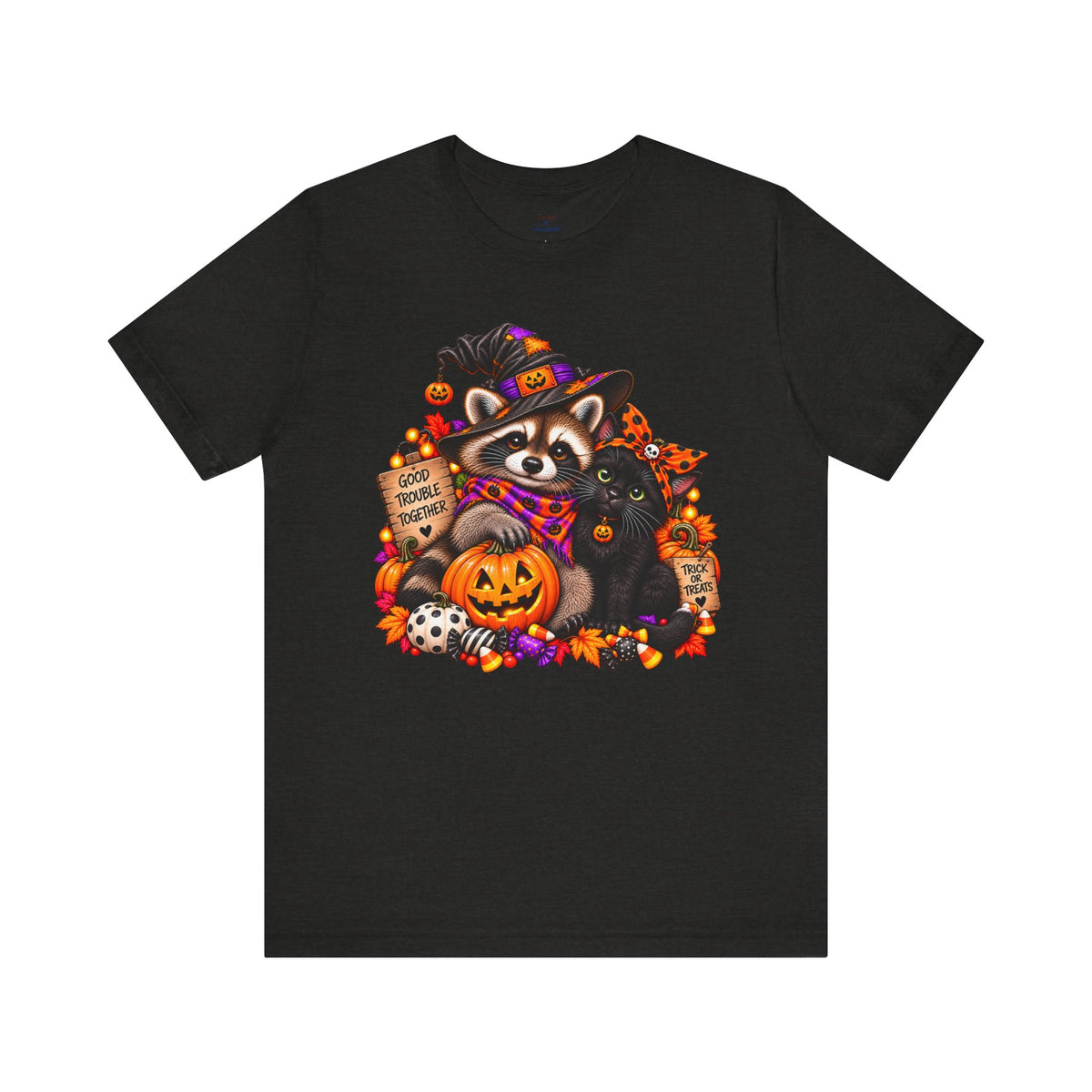 Halloween Raccoon and Black Cat T-Shirt