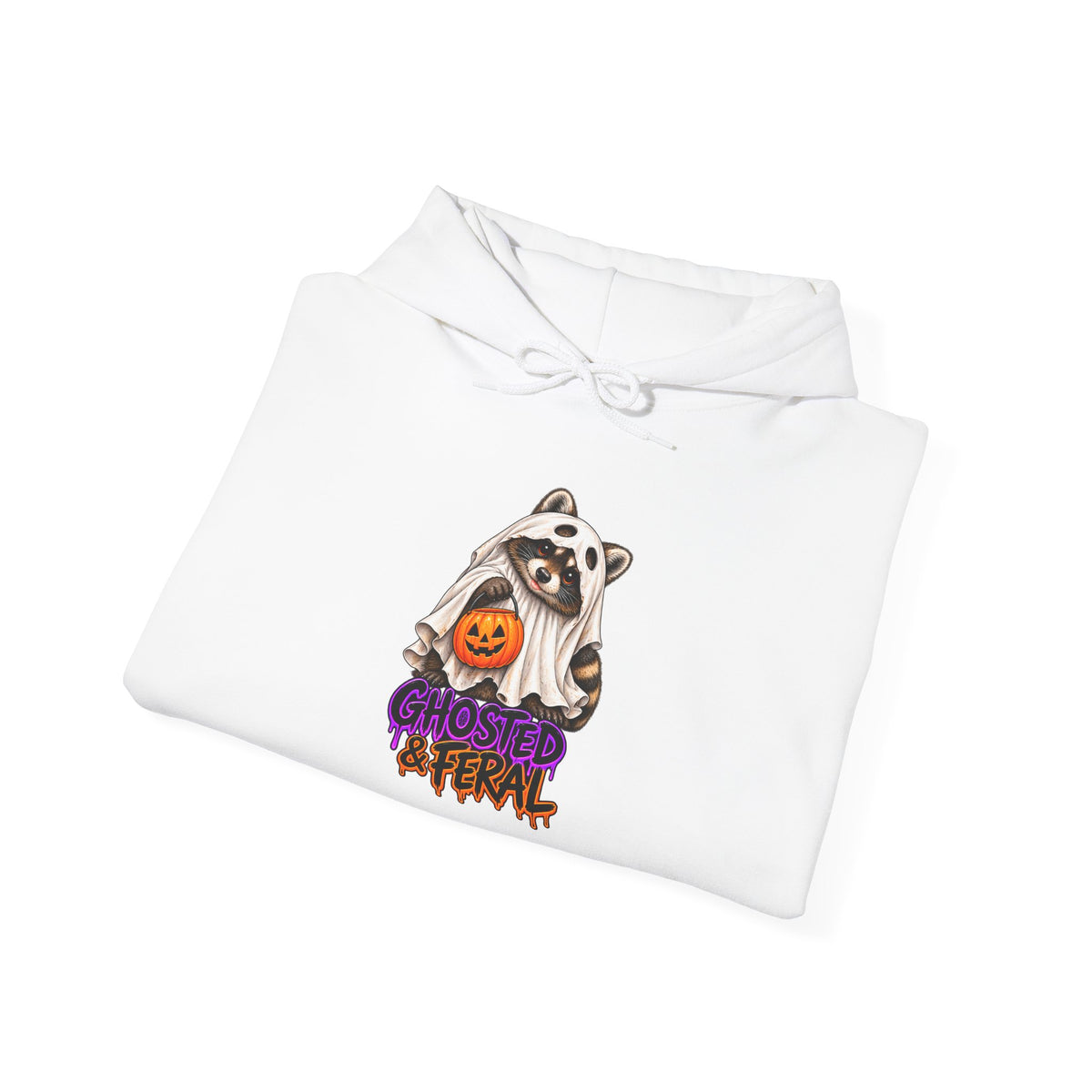 Ghosted Raccoon Hooded Sweatshirt