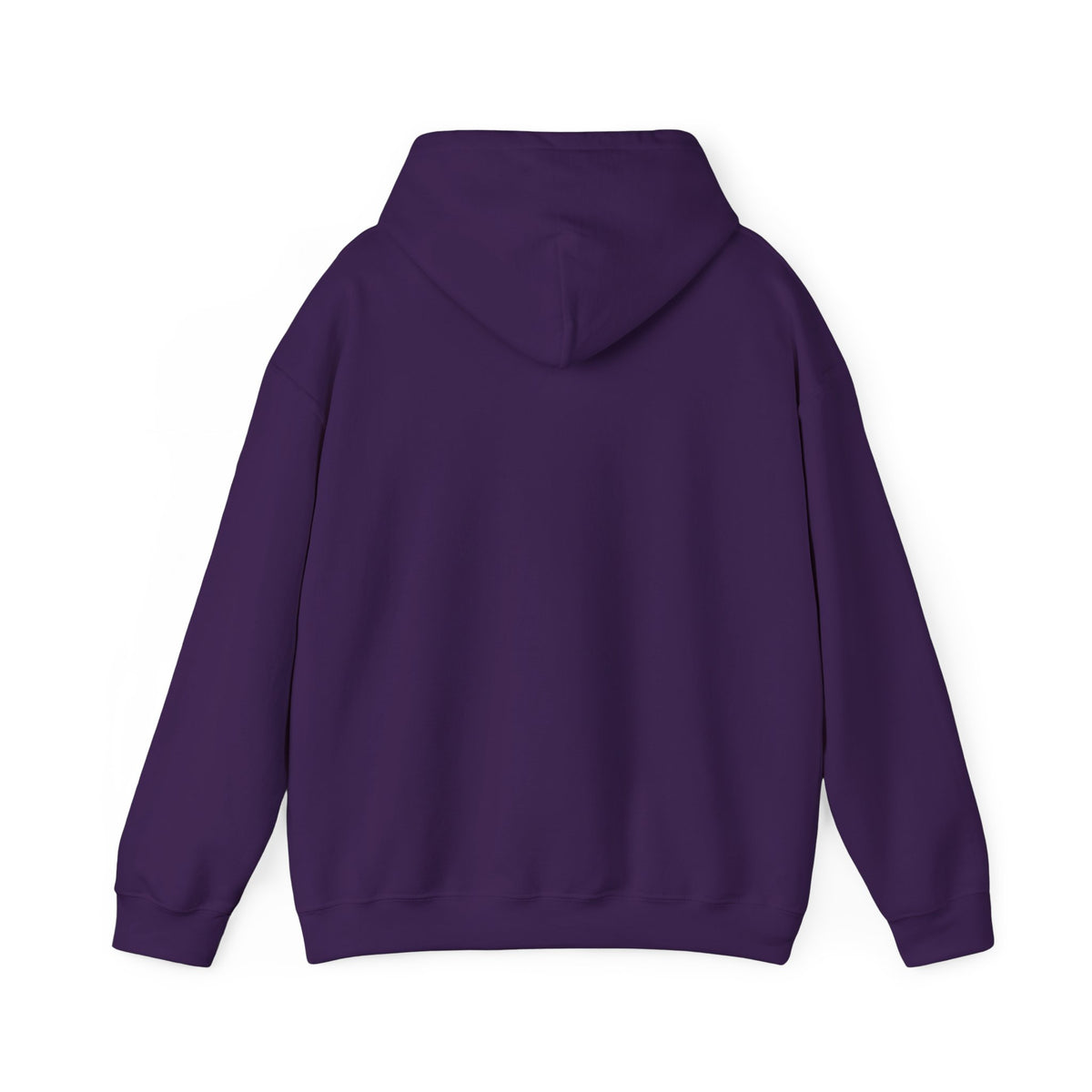 Ghosted Raccoon Hooded Sweatshirt