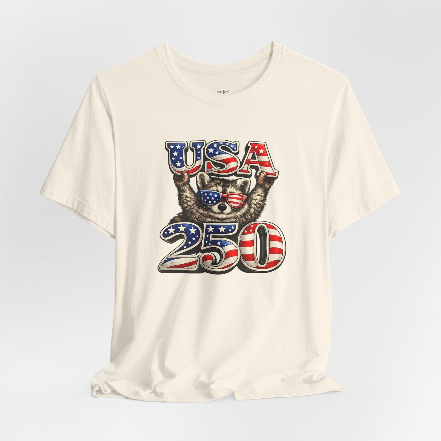 Patriot Raccoon 250th Anniversary T-Shirt — 4th of July Fireworks Flag Tee