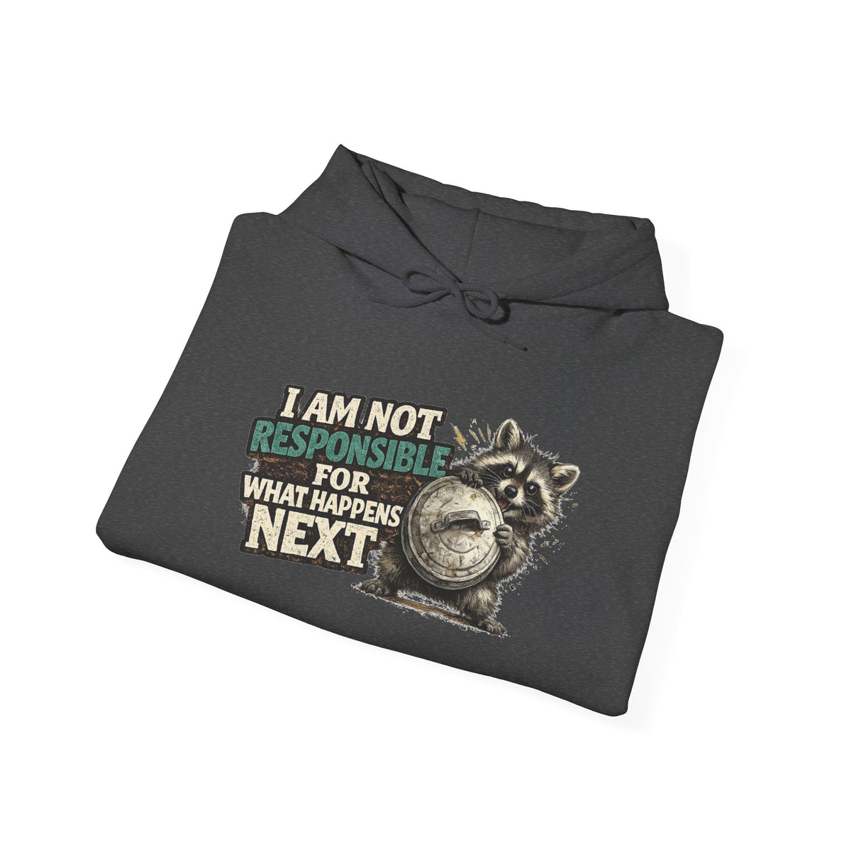 Not Responsible Raccoon Hooded Sweatshirt