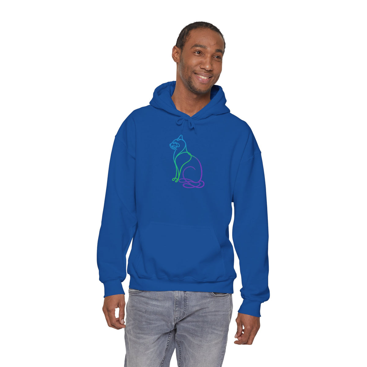 Northern Lights Cat Hooded Sweatshirt