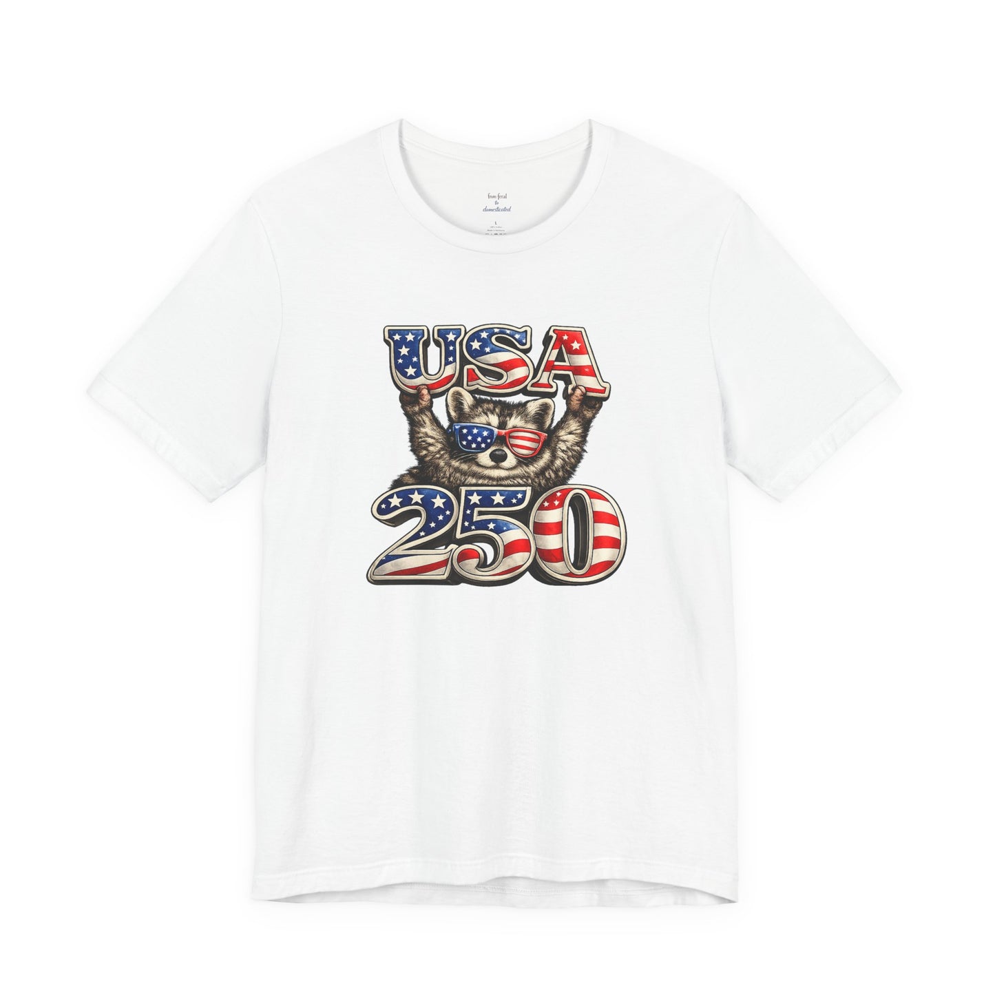 Patriot Raccoon 250th Anniversary T-Shirt — 4th of July Fireworks Flag Tee