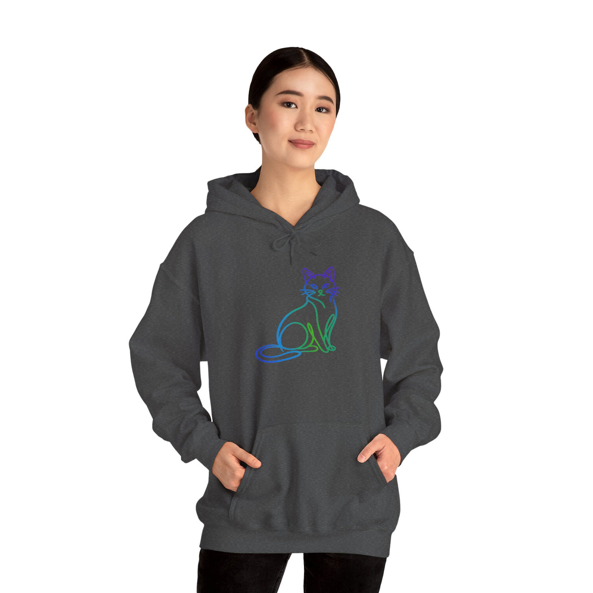 Northern Lights Cat Hooded Sweatshirt