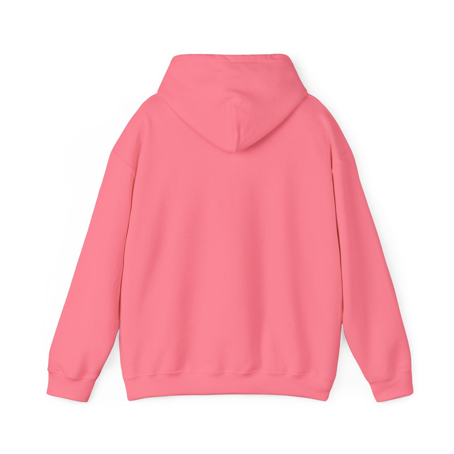 Dancing Raccoon "Maniac" Hooded Sweatshirt